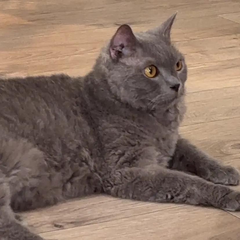 OZ 梅田店/ ユウリの掲載