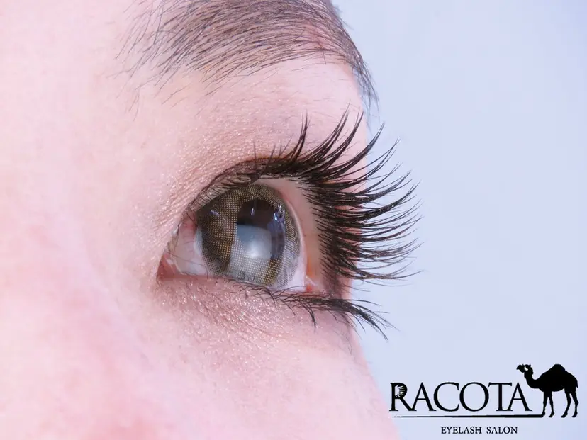 RACOTA ラコタ 池袋東口店の掲載