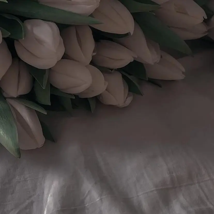 つぼい かずみの掲載