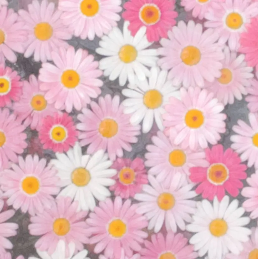 タニグチ 南草津の掲載