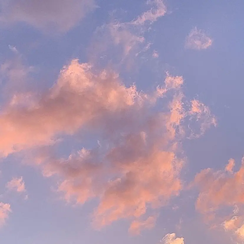 WAXYYY. FUKAの掲載