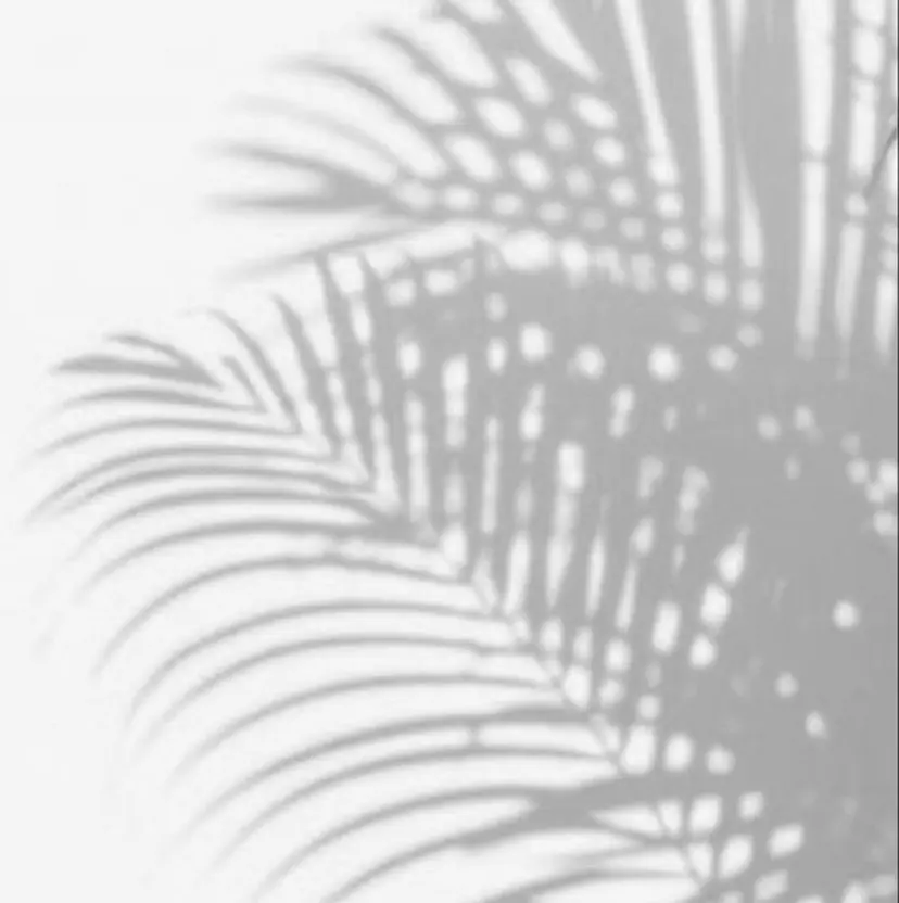 le MAIKA 天神の掲載