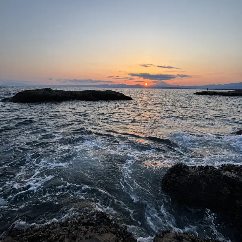 pino 荻窪　　シュウタロウの掲載