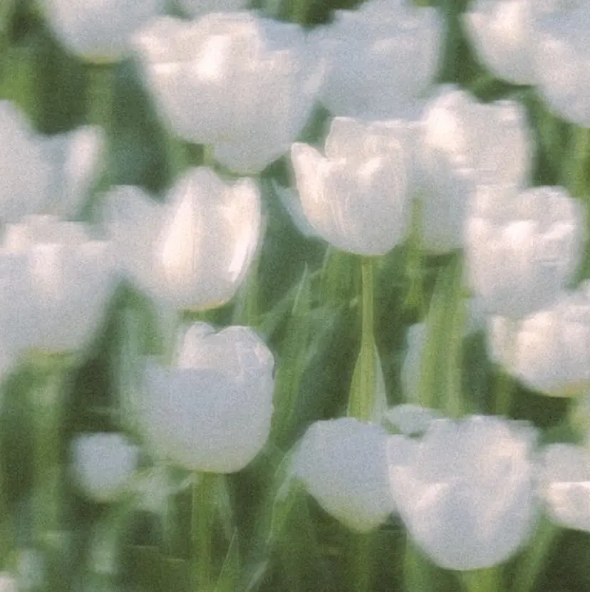 Lila札幌大通店 ヤマウチの掲載