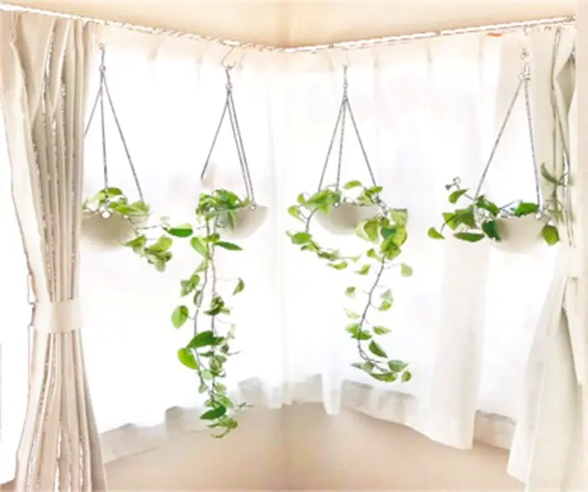 プチサロン ひまわりの掲載