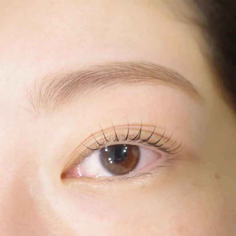 En'e cachetteの掲載