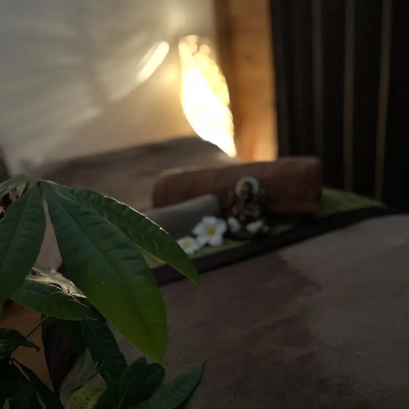 DISINISPA 脱毛/フェイシャルの掲載