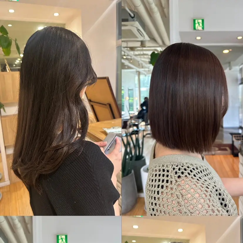 松浦 麻衣の掲載