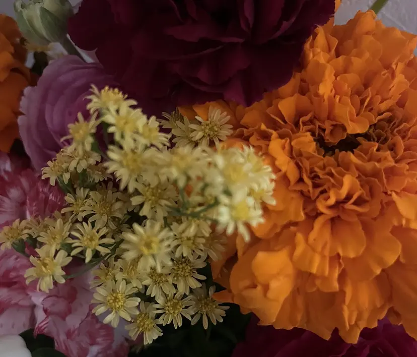 ミミ 🧬の掲載