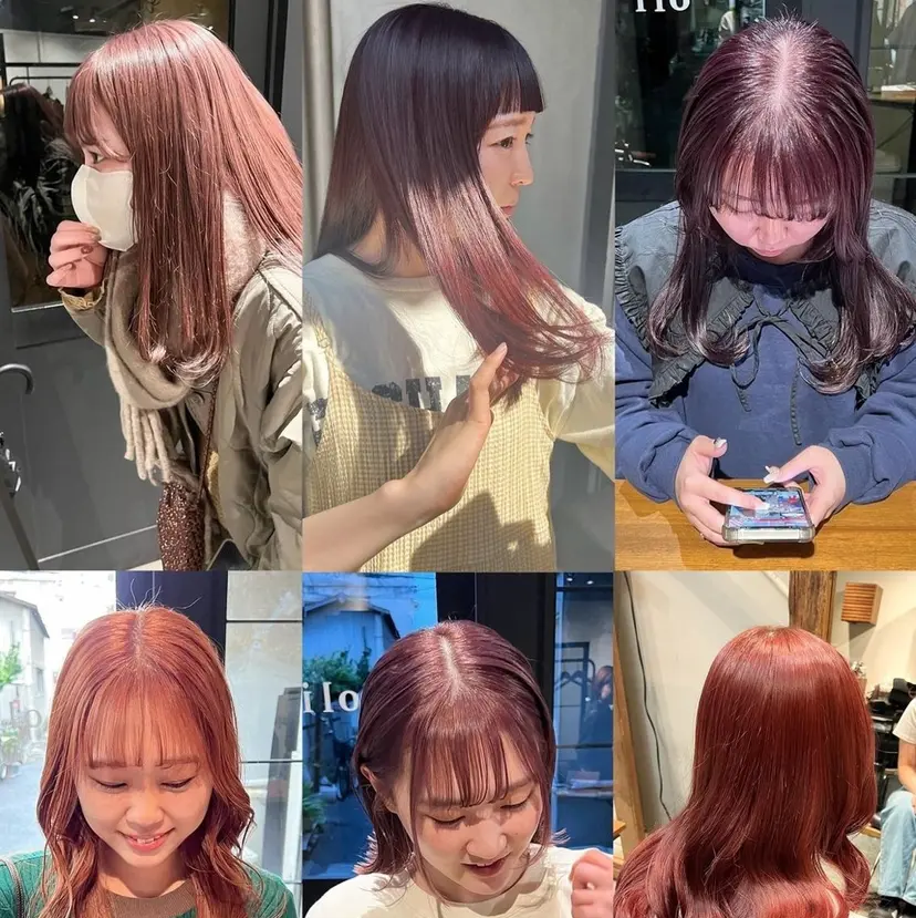 野々村 朋美の掲載