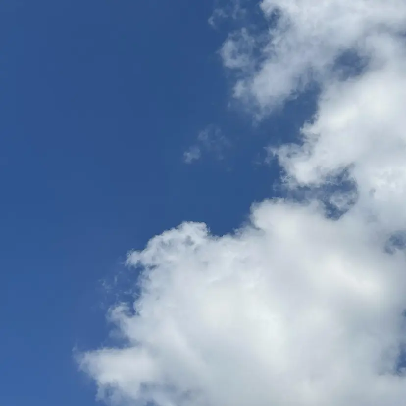 💎Eleanor ニイナ💎の掲載