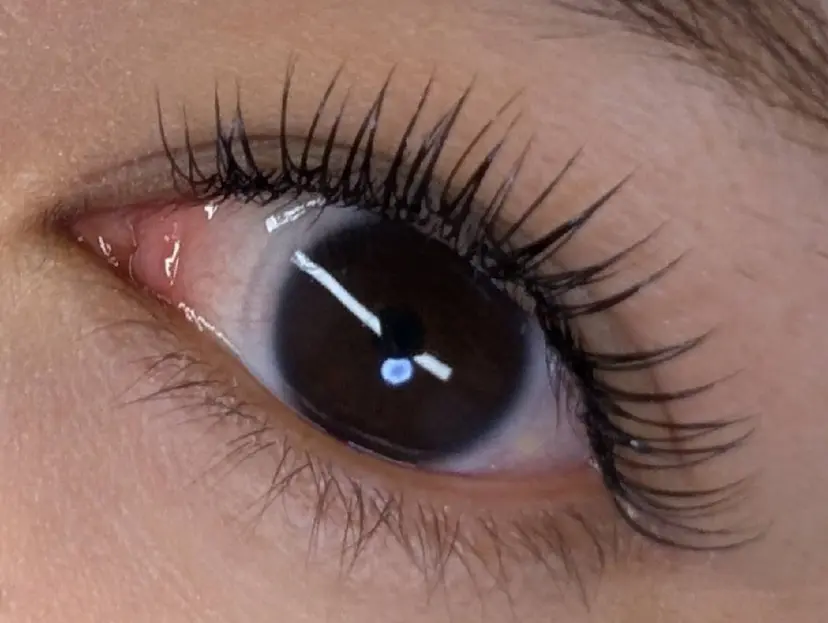 utile eyelashの掲載