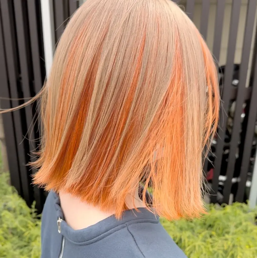 伊藤 一樹の掲載