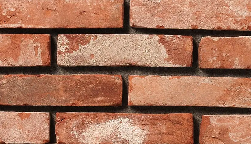 大阪ハイトーン ひらり💜の掲載