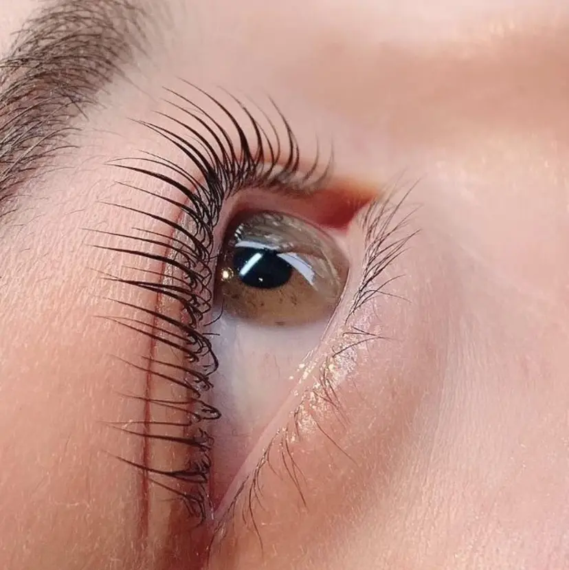 中島 紀美の掲載