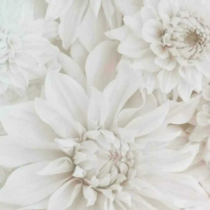 BEAUTYCURL ＋plusなんば店の掲載