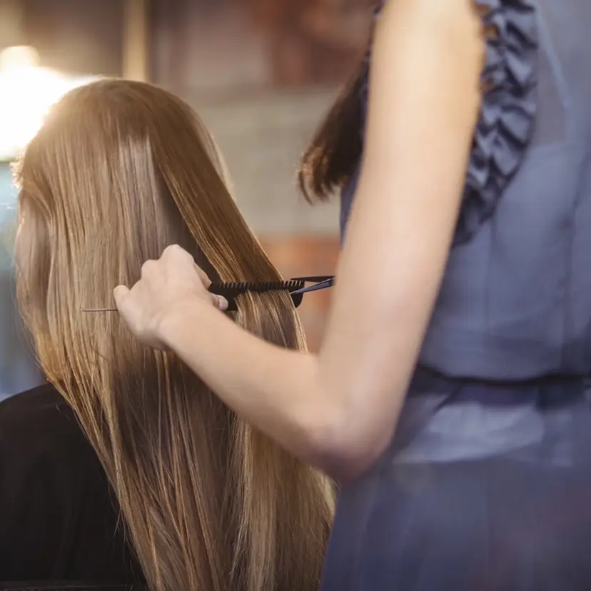 🩵atelier- 02Kirara🩵の掲載