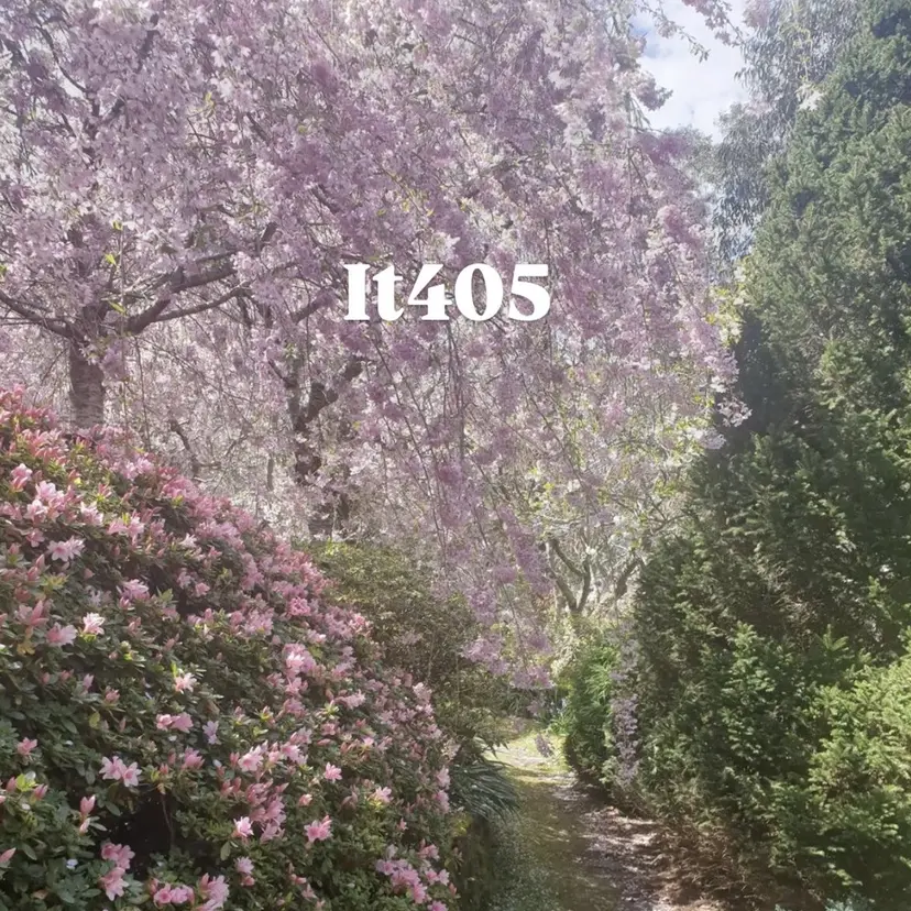 SAKURA🌸*･ まつげパーマの掲載