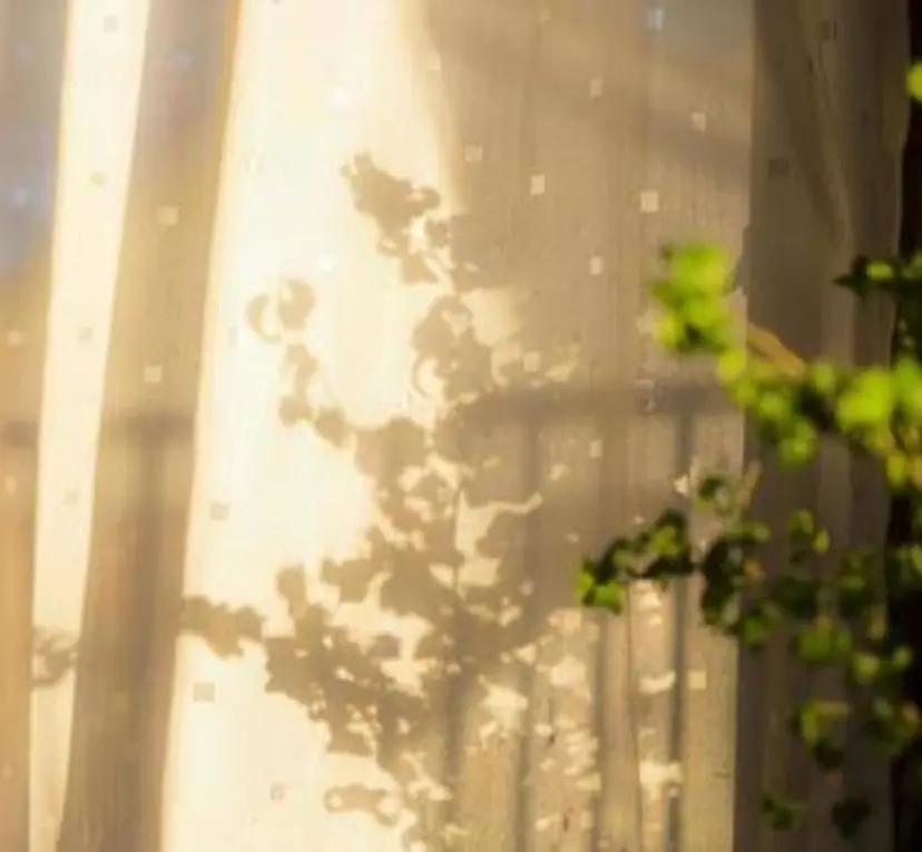 Am'soers 本橋の掲載