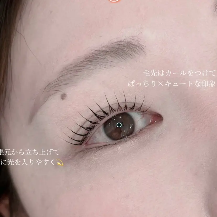 CONNECT minaseの掲載