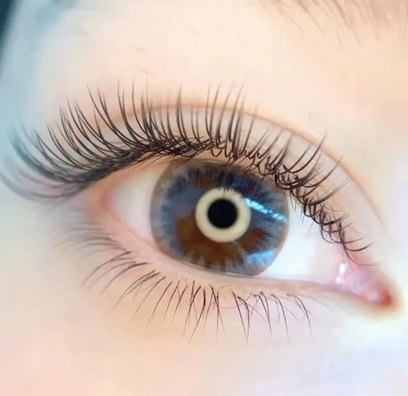 橋本 美咲の掲載