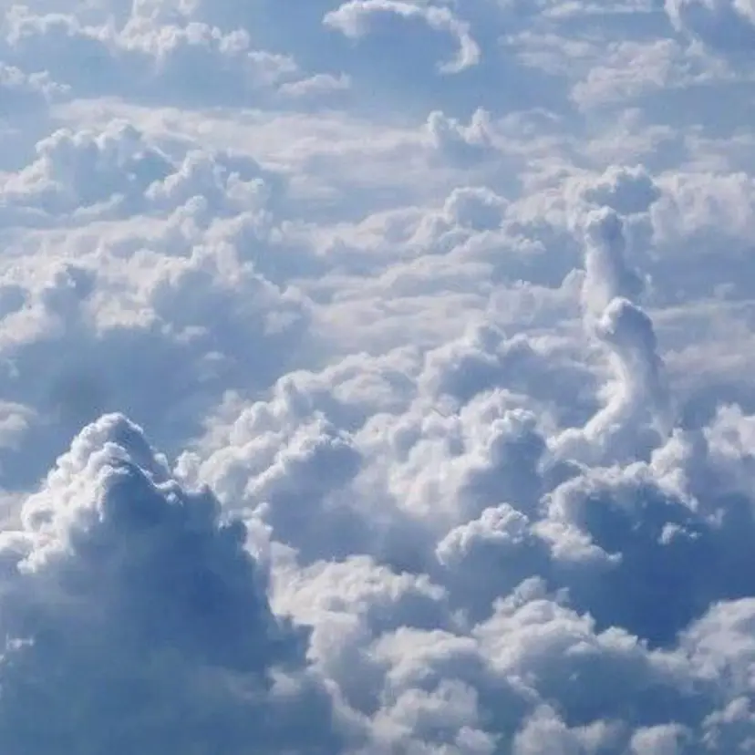 shino メンズネイル専門店の掲載