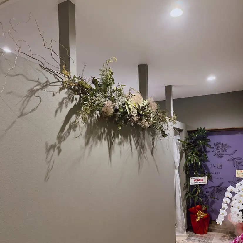 眠れる森 睡眠・体質改善の掲載