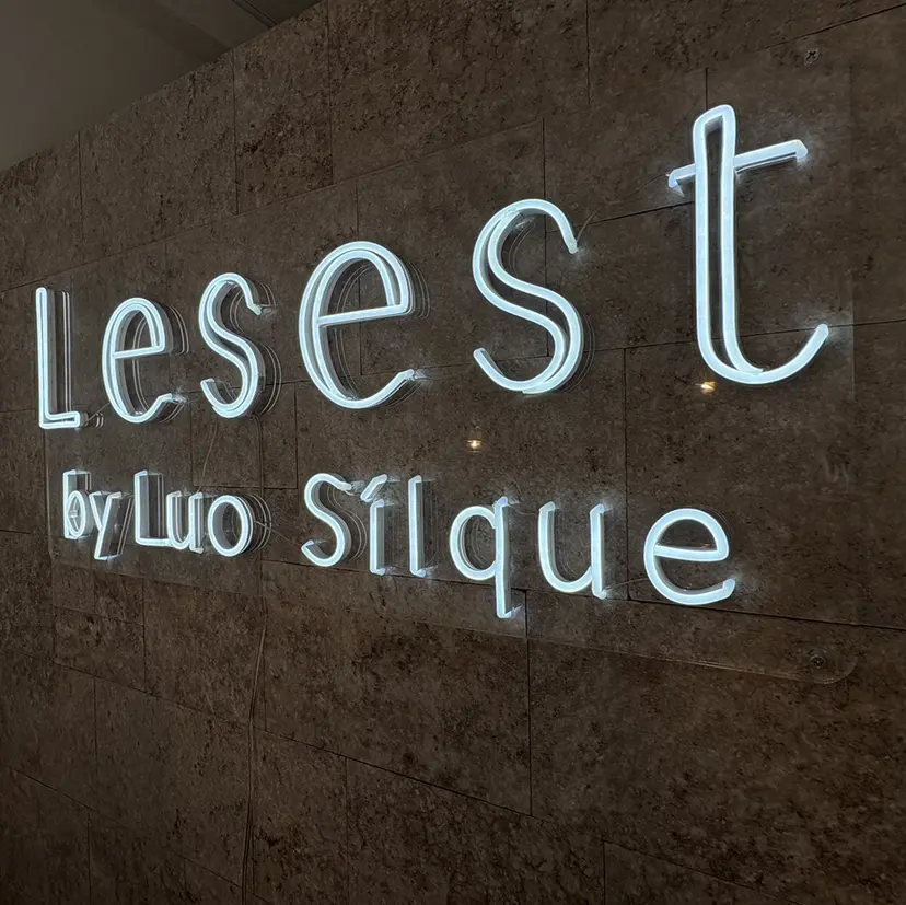 Lesest Emiriの掲載