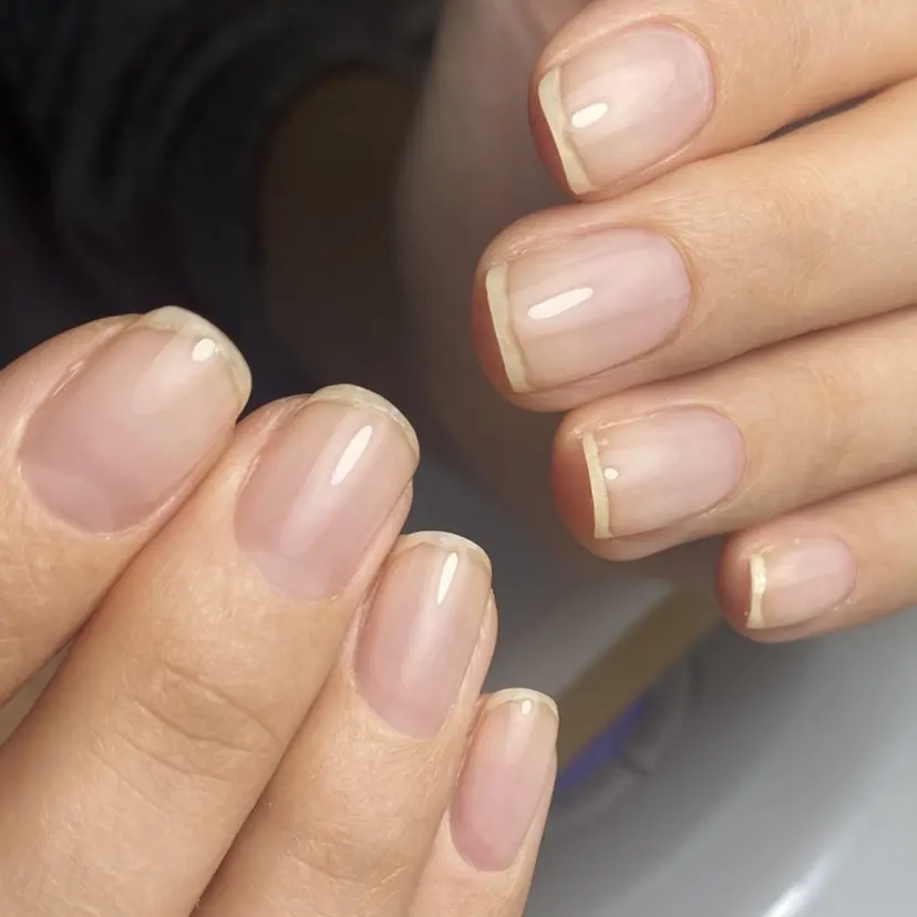自爪育成nail fachuriの掲載