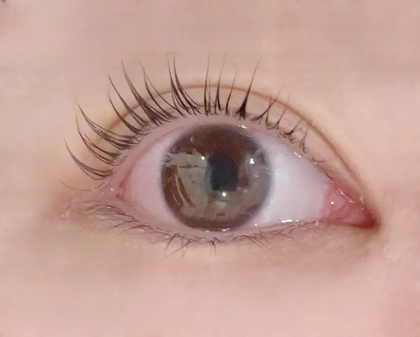 デイジーラッシュ 第3ビル 吉谷の掲載