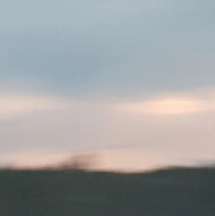 小野寺 智香の掲載