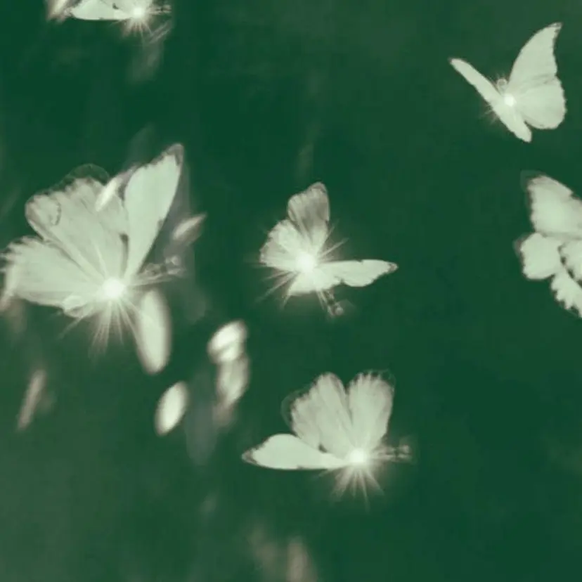 きはね 💚の掲載