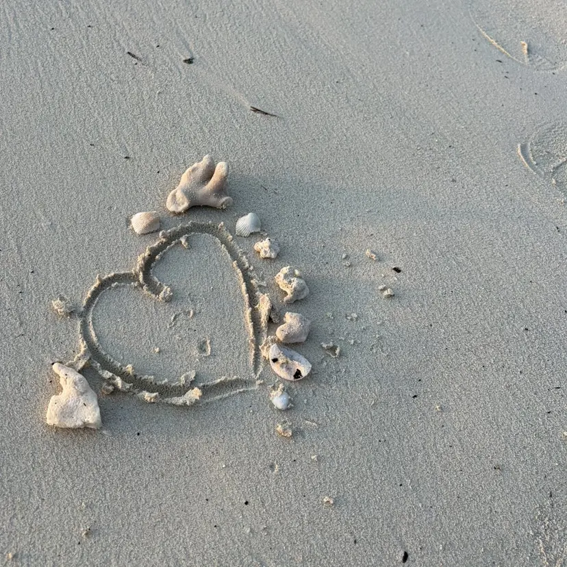 小端 歩美 GRANDTRUTHの掲載