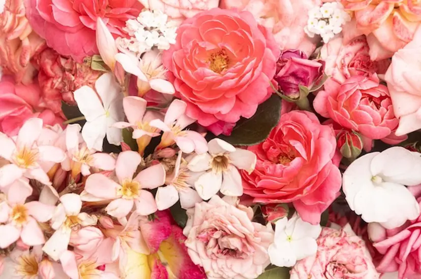 nail salon BONはるの掲載