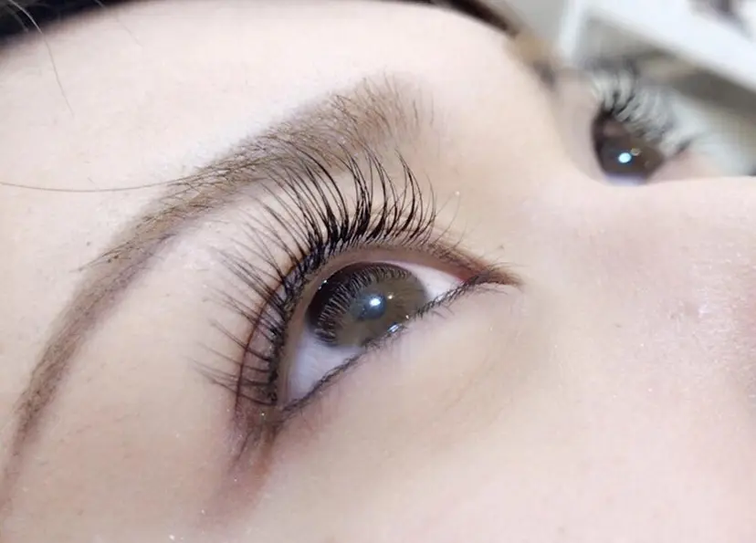 fair フェアの掲載