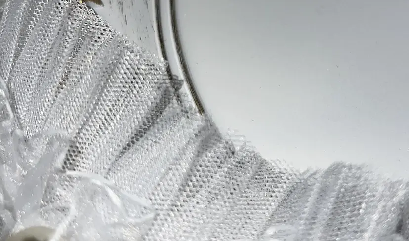 RUi 🦋🕯️の掲載