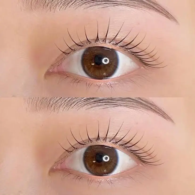 beaute ボーテの掲載