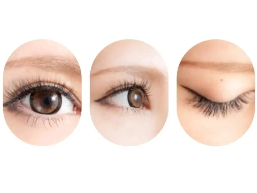 竹島 弥幸の掲載