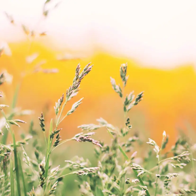 Eye Beauty ＷＡＮＤの掲載