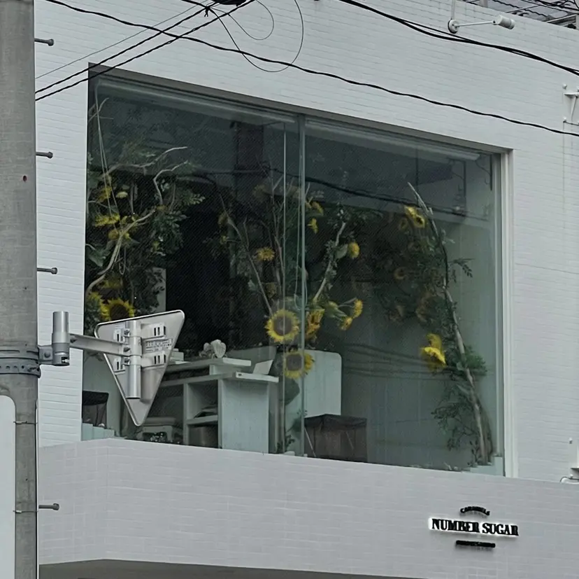 Olivia 村上の掲載