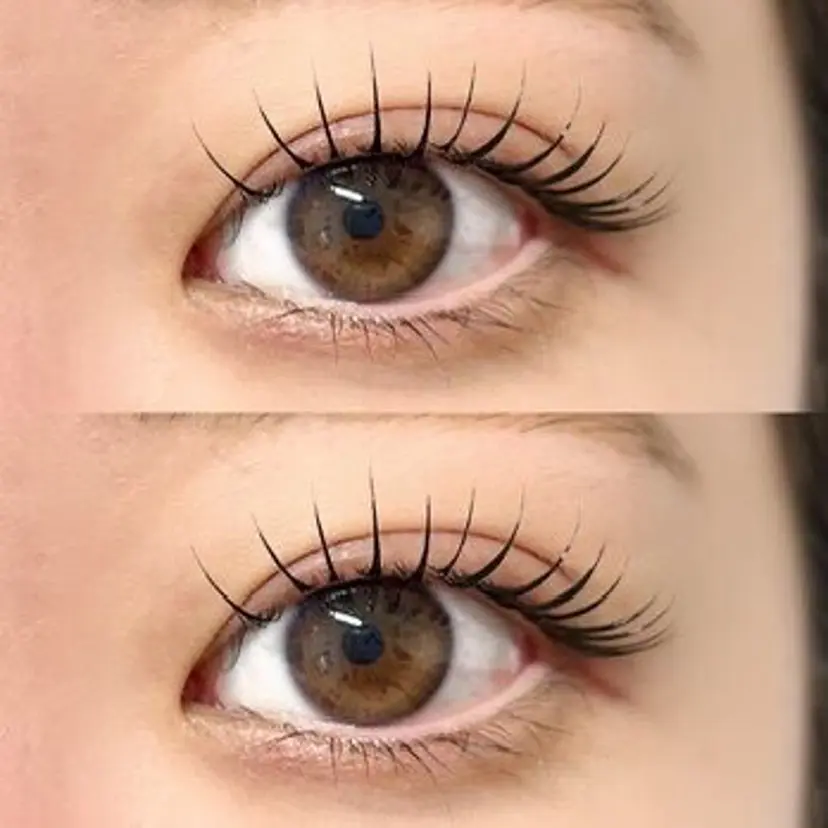 阿部 瑞樹の掲載