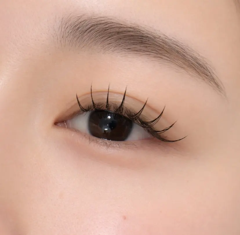 植原 彩香の掲載