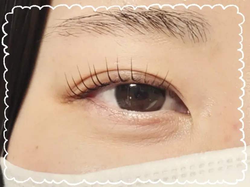 Le·reve  YUMI の掲載