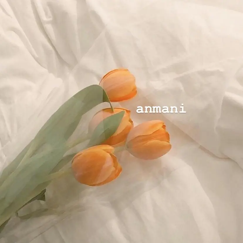 中屋恵美🎨 Designカラーの掲載