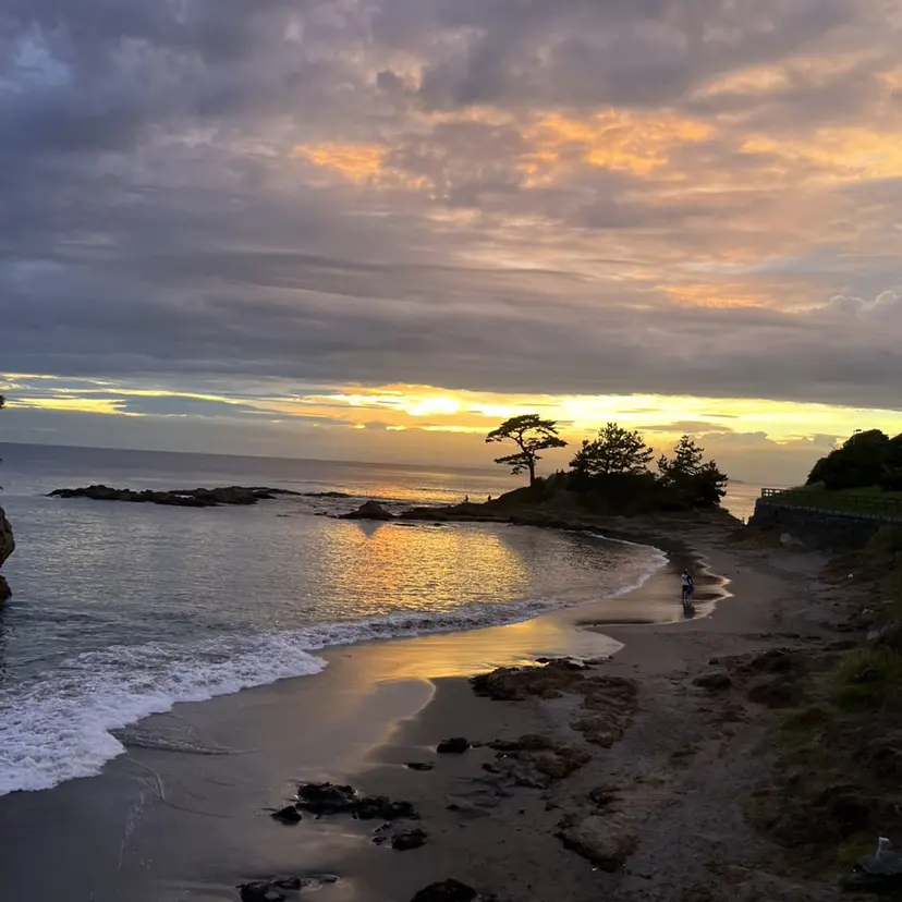 Aoki Suzunaの掲載