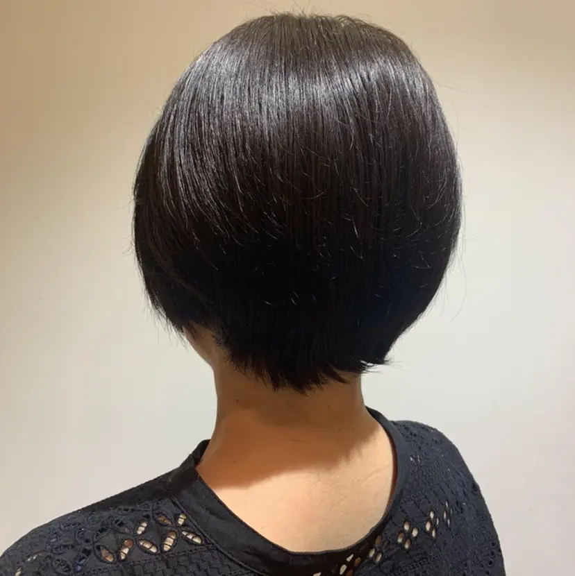 畠中 望来の掲載