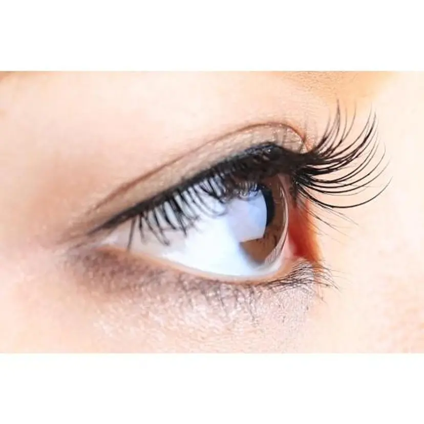 RAVILISS 【ラヴィリス】の掲載