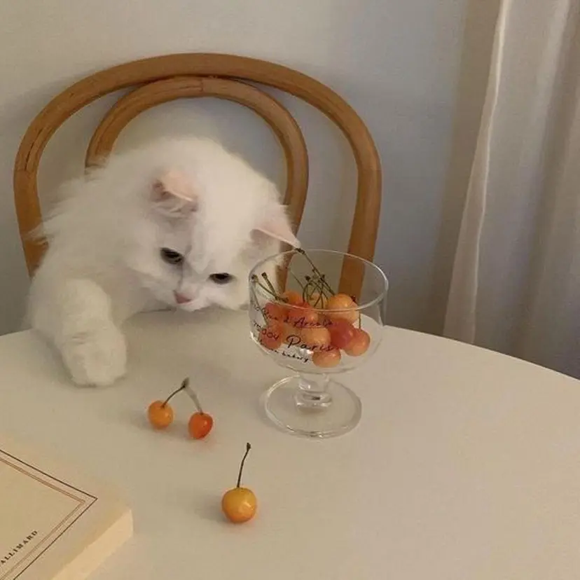 縮毛矯正/ /関内/あべももこの掲載