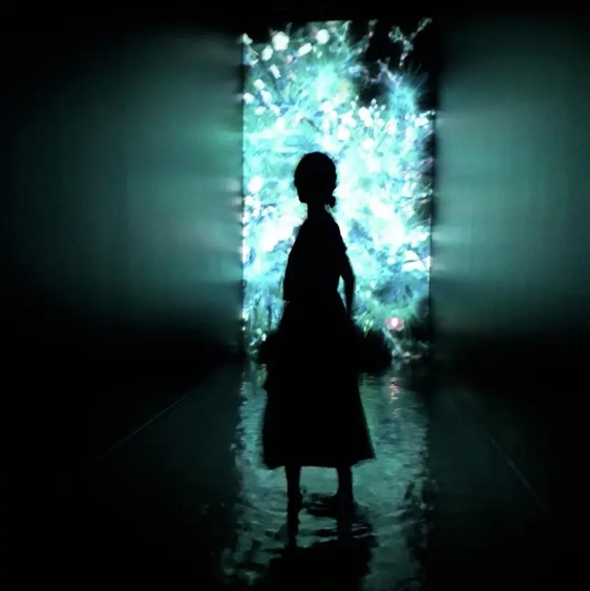 HANAFUSA YURIKAの掲載