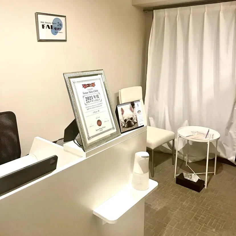 FALgar モカの掲載